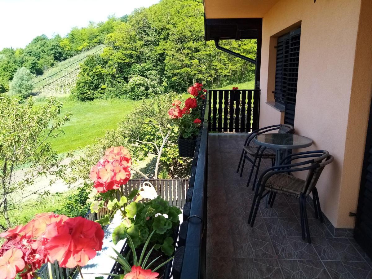 Apartman Potocki Krapina Buitenkant foto