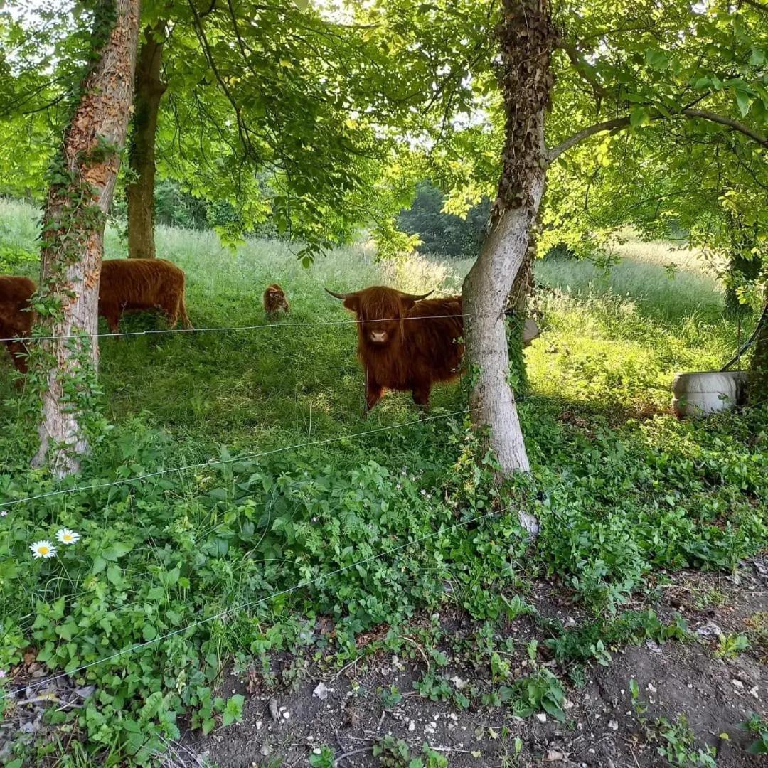 Apartman Potocki Krapina Buitenkant foto