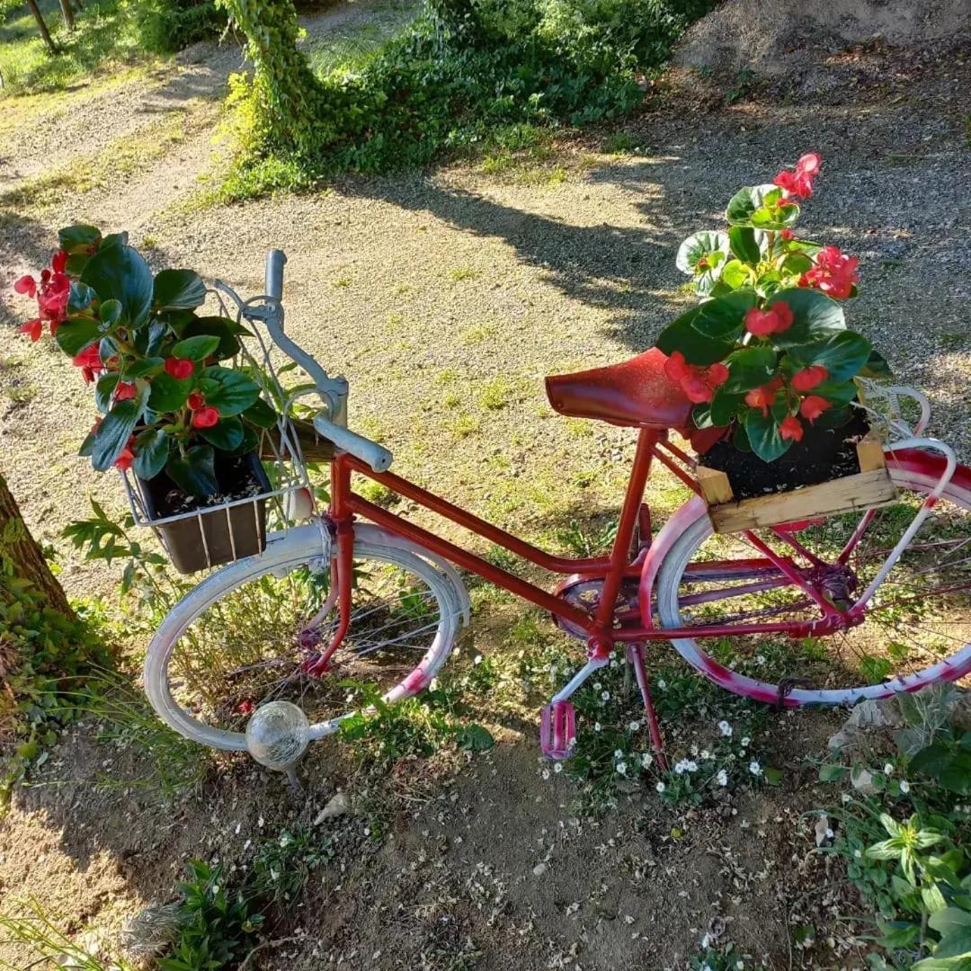 Apartman Potocki Krapina Buitenkant foto