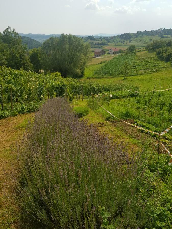 Apartman Potocki Krapina Buitenkant foto
