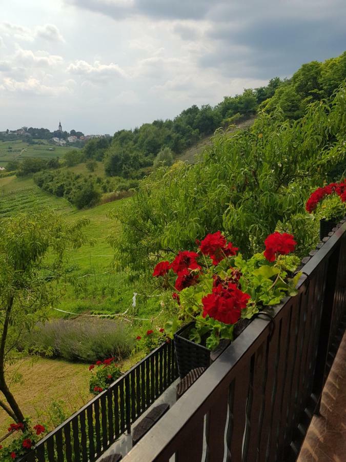 Apartman Potocki Krapina Buitenkant foto