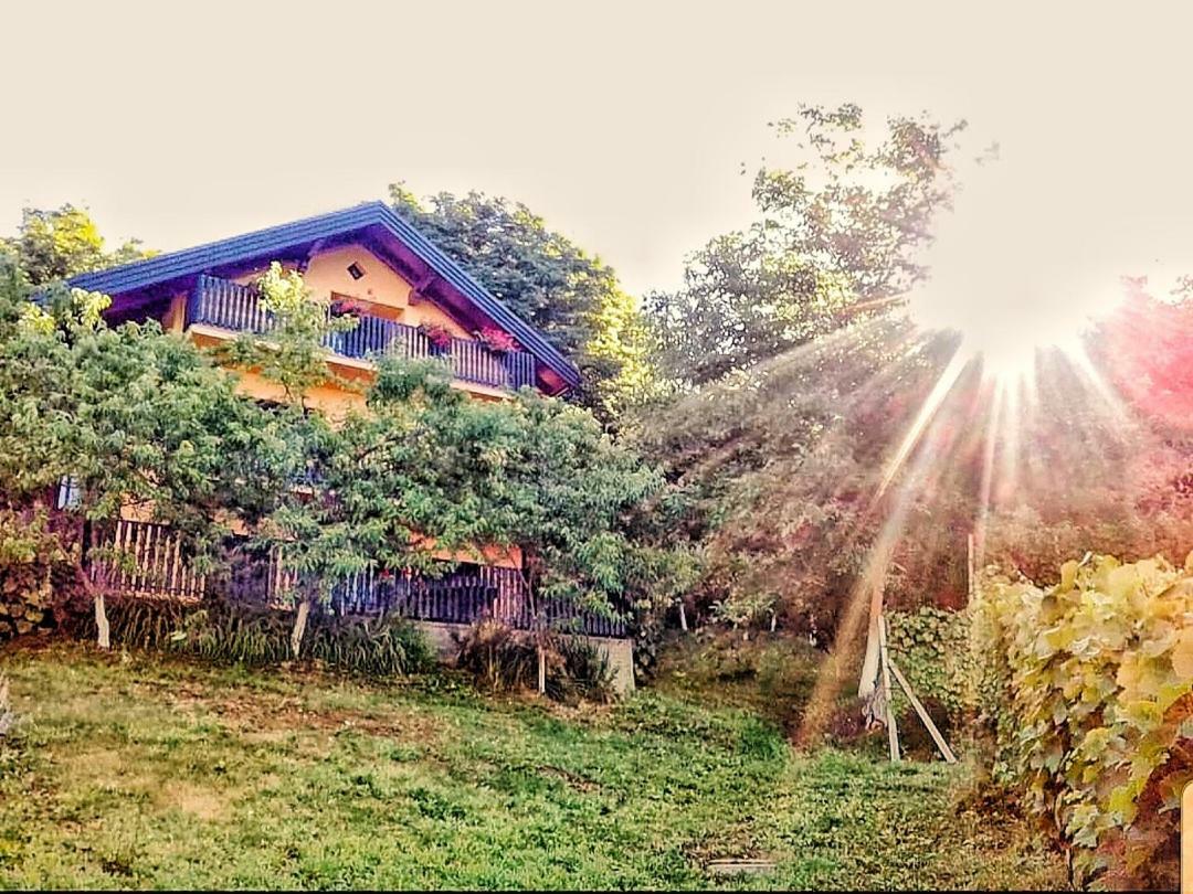 Apartman Potocki Krapina Buitenkant foto