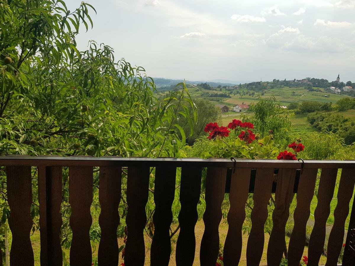 Apartman Potocki Krapina Buitenkant foto