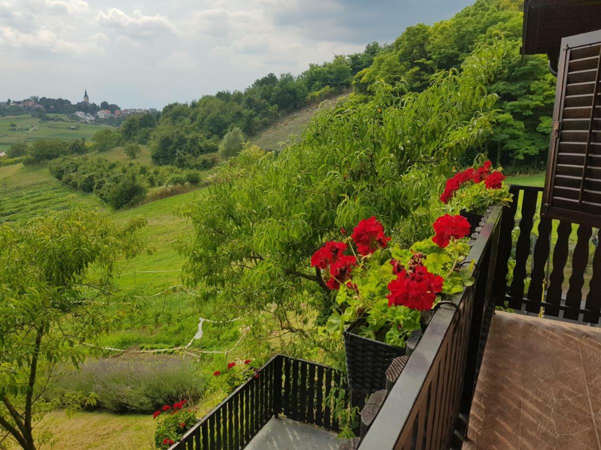 Apartman Potocki Krapina Buitenkant foto