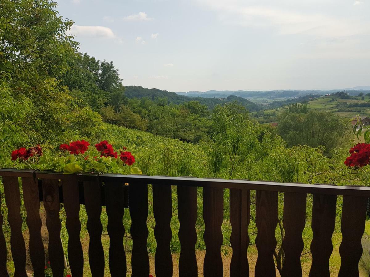 Apartman Potocki Krapina Buitenkant foto